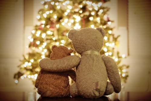 54713-very-beary-christmas